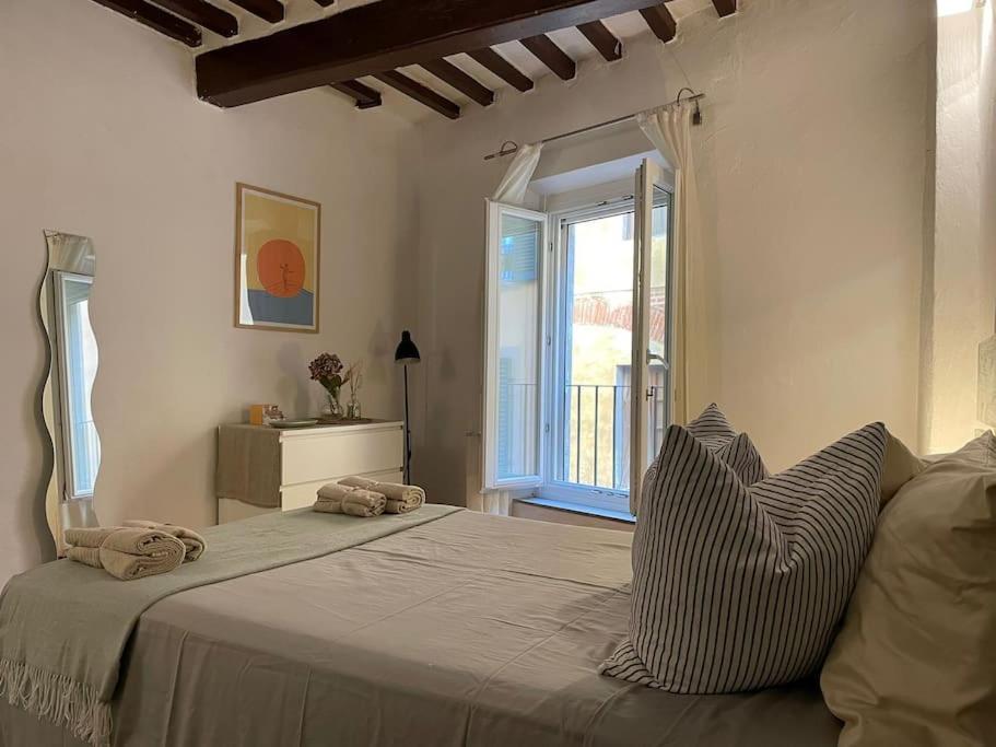 Casa Storica Nel Cuore Di Pisa - Lungarno エクステリア 写真